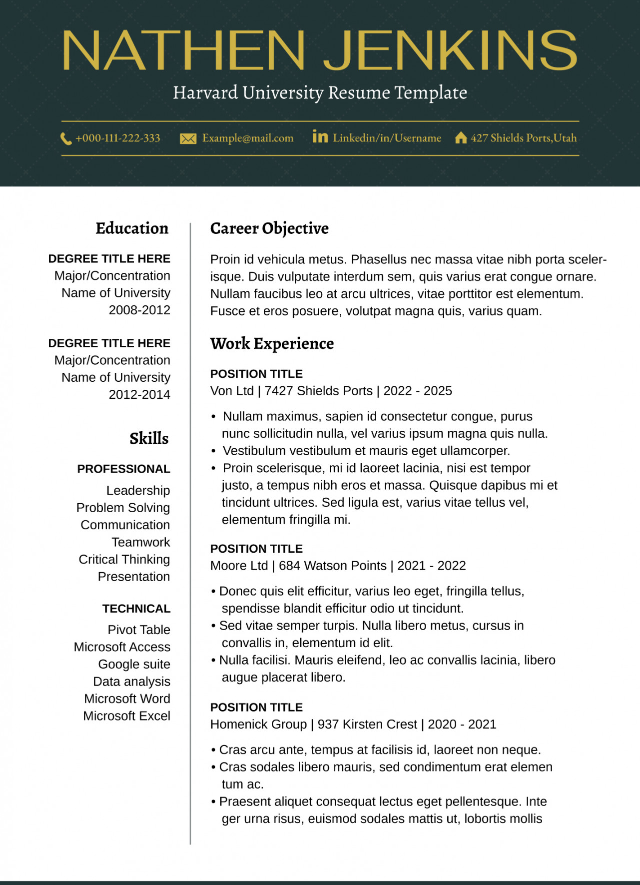 Harvard University Resume Free Google Docs Template - gdoc