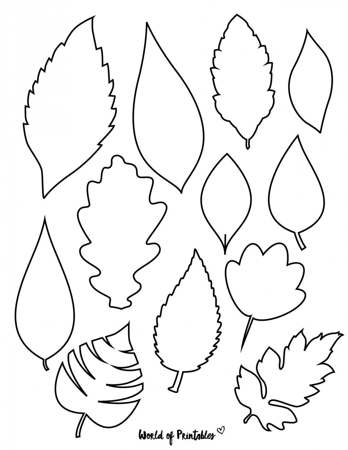 Printable Leaf Templates, Outlines & Shapes (Free) - World of