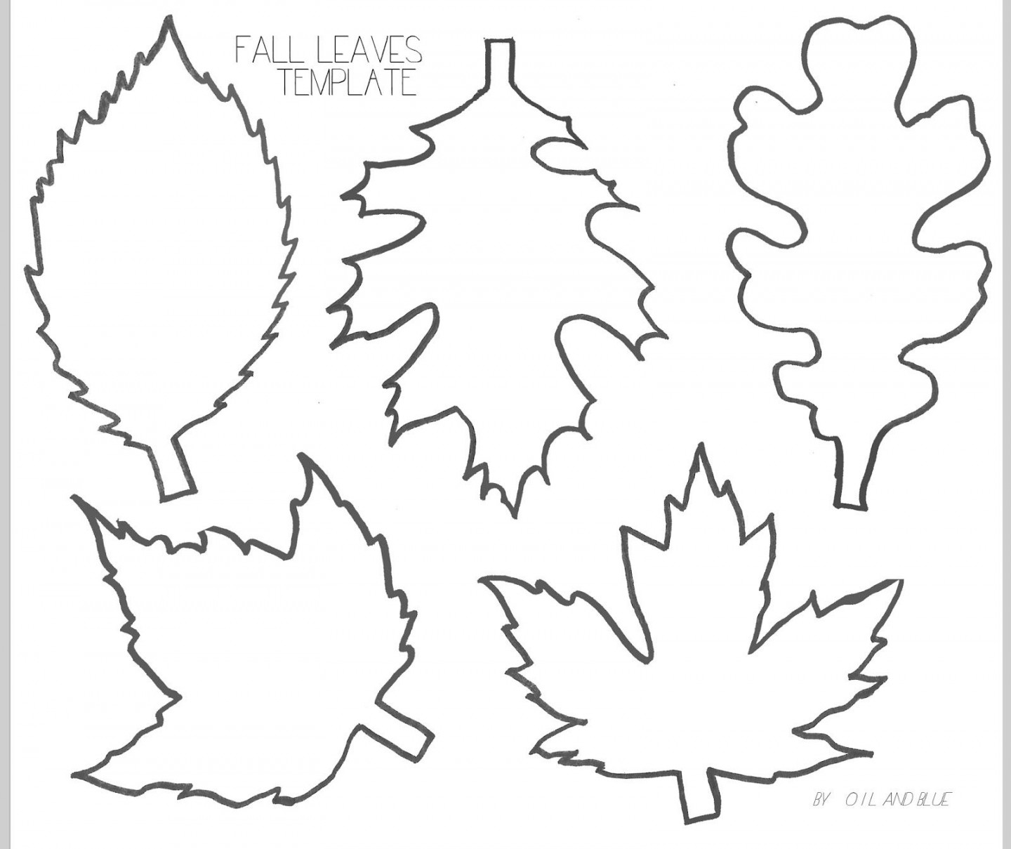 FALL LEAF LINE DRAWING TEMPLATE - free printable  Leaf template