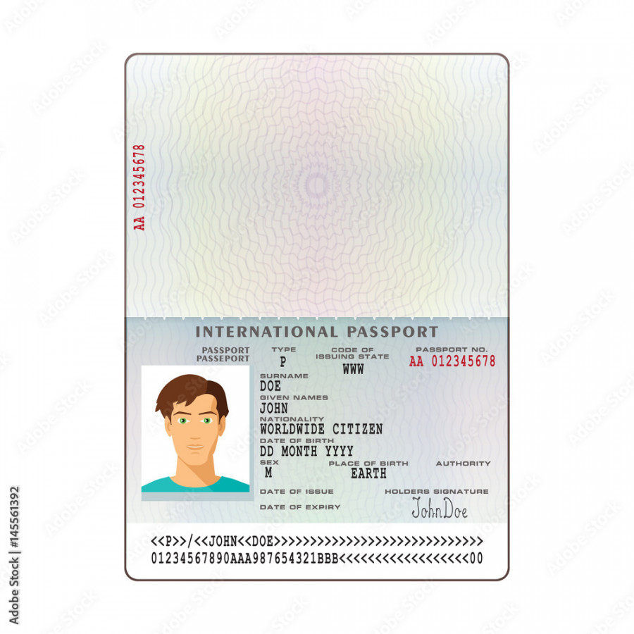 Vector international passport template with sample personal data