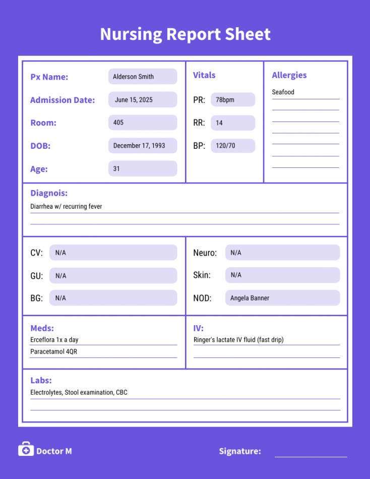 Nursing Report Sheet Template - Venngage